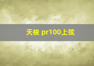 天梭 pr100上弦